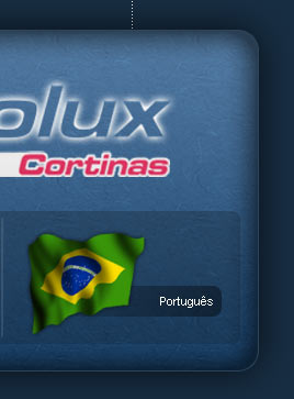 Ingresar al sitio en portugues